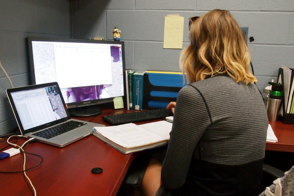 Haley sits at desk, looking at computer.