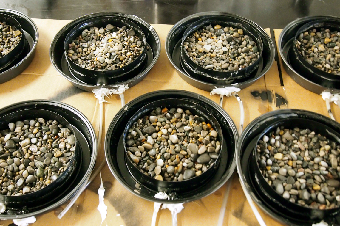 Circular black trays filled with rocks, each with drain tubes extending off, sit on a table.