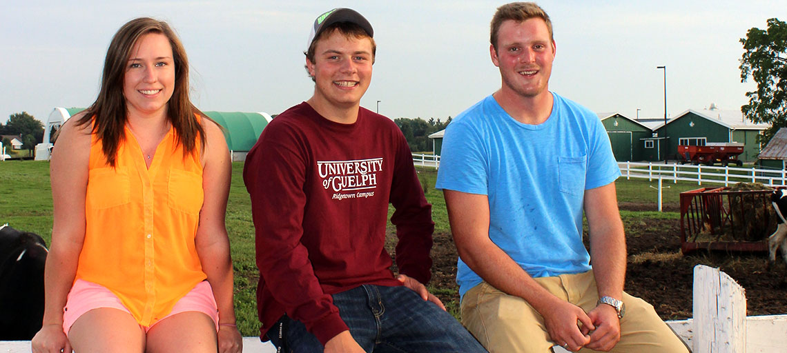 Three students sit on fence outside