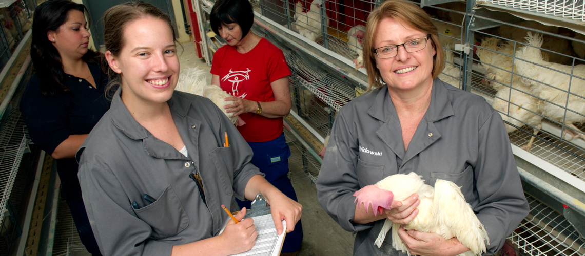 Two female researchers in poultry barn, one with clipboard, one holding chicken, two other females in background.