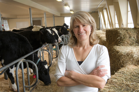 Claudia Wagner-Riddles stands infront of a row of holstein cows