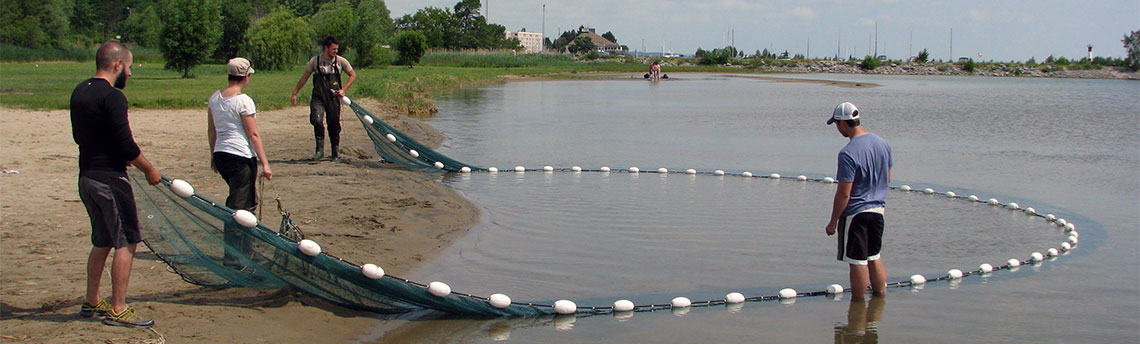 Four students pull in net from lake