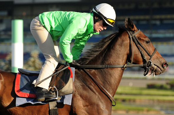 Emma-Jayne in a green jacket riding a reddish brown horse