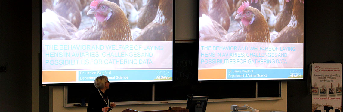Dr. Janice Siegford presents on laying hen housing