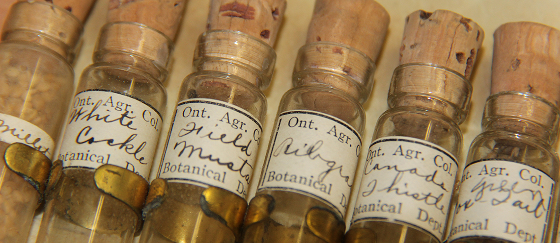 Six small glass vials of seeds with cork tops and white labels indicating their name.