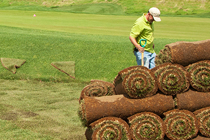 A man carrying a shovel walks past a pile of sod.