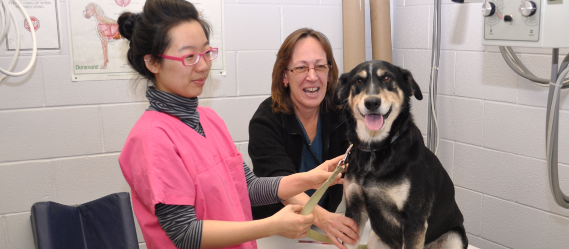 Female student in scrubs stands with happy dog and owner