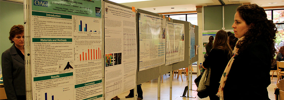 Young woman looks at research poster competition