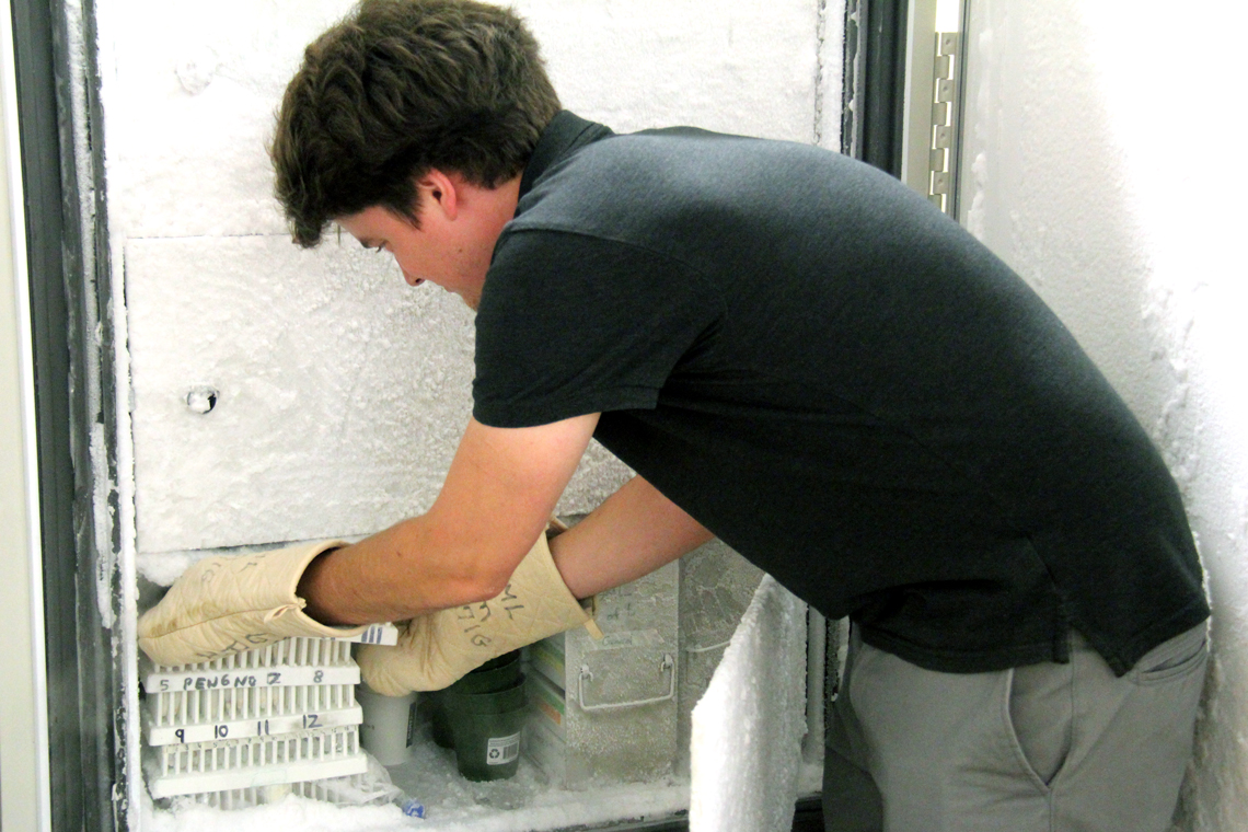 Patrick takes out samples from a freezer wearing large gloves.