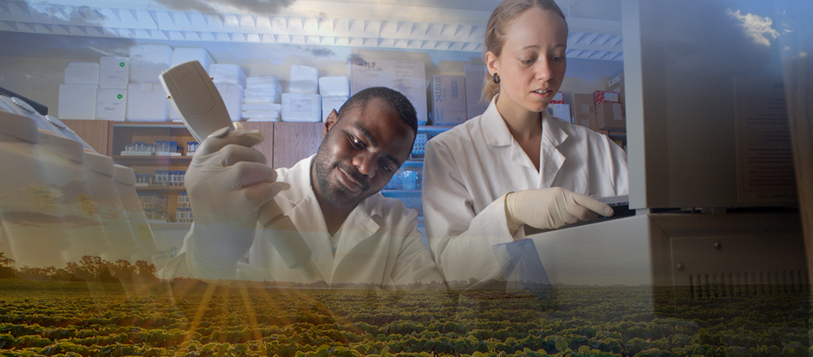 Two students in lab coats do testing, overlay of crop field