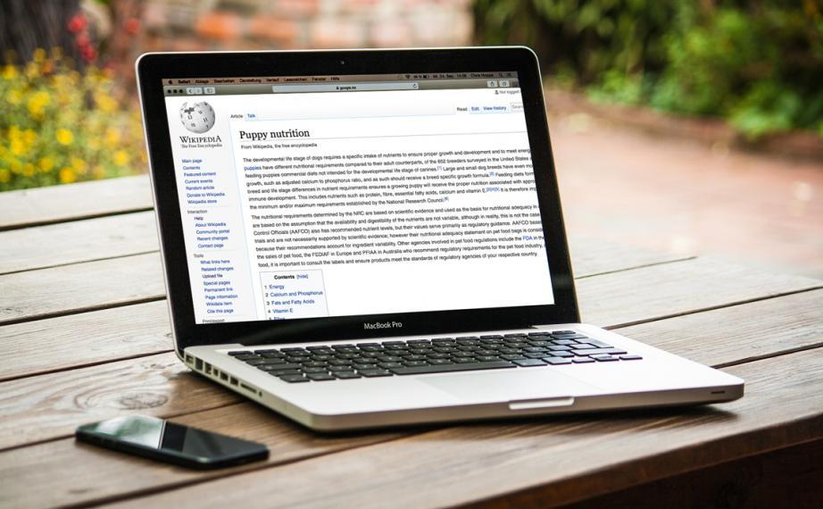 Laptop compter on table outdoors, Wikipedia page open on screen