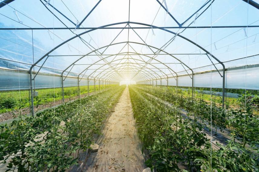 turning greenhouse waste into