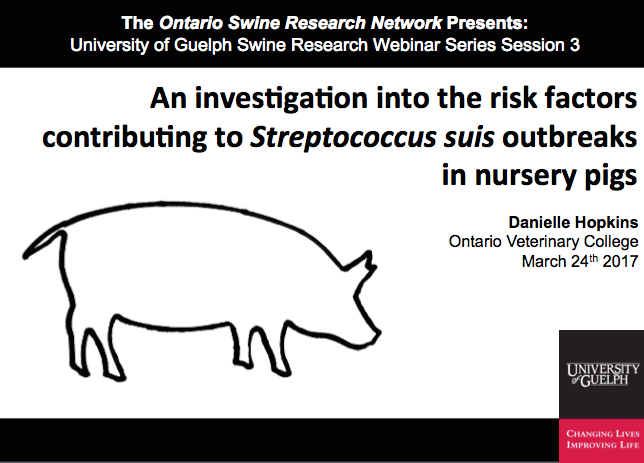 An investigation into the risk factors contributing to Streptococcus suis outbreaks in nursery pigs.