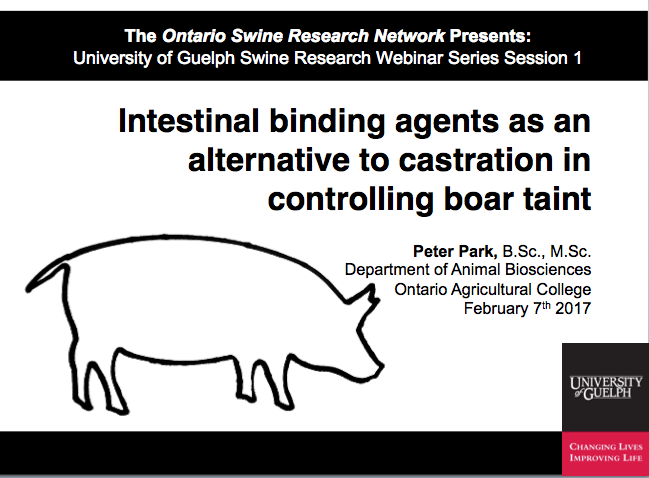  University of Guelph Swine Research Webinar Series Session 1. Intestinal binding agents as an alternative to castration in controlling boar taint. Peter Park BSc, MSc. Department of Animal Biosciences, Ontario Agricultural College, February 7th 2017