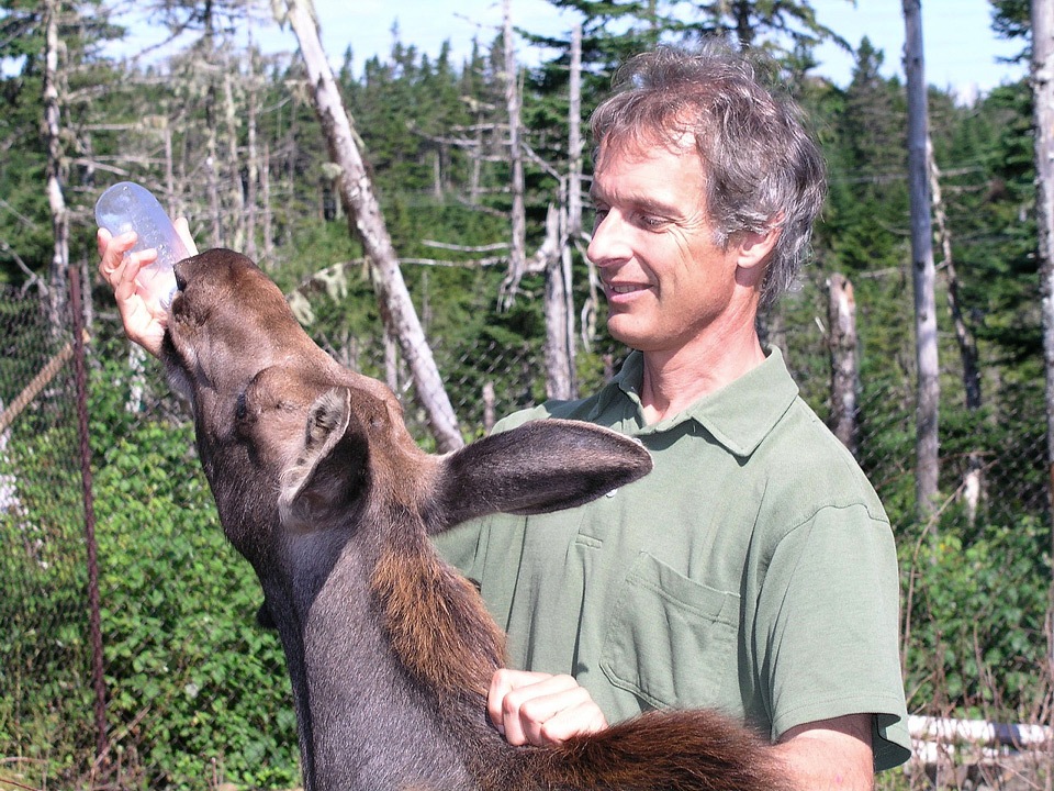 Veterinarian Andrew Peacock writes Creatures of the Rock about his adventures in Newfoundland.