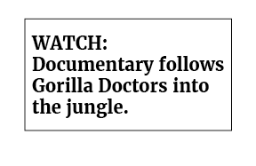 note-gorillas