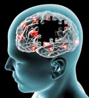 How past experiences affect memory, U of G research