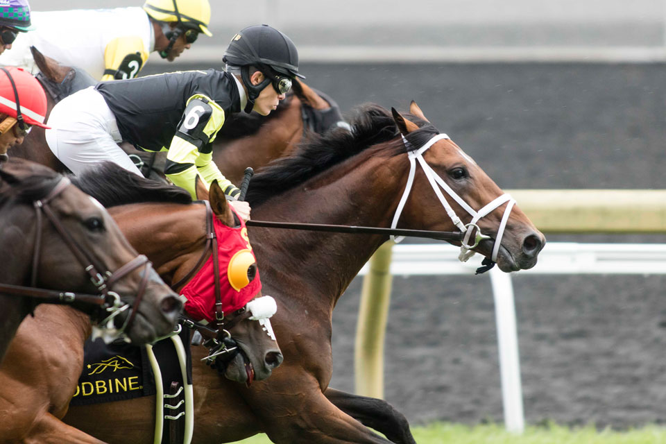 Horse jockey Emma-Jayne Wilson is one of Canada's top athletes