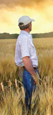 Recognizing mental illness in farmers and veterinarians is a study at the University of Guelph.