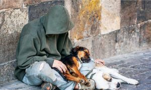 Homeless youth and pets