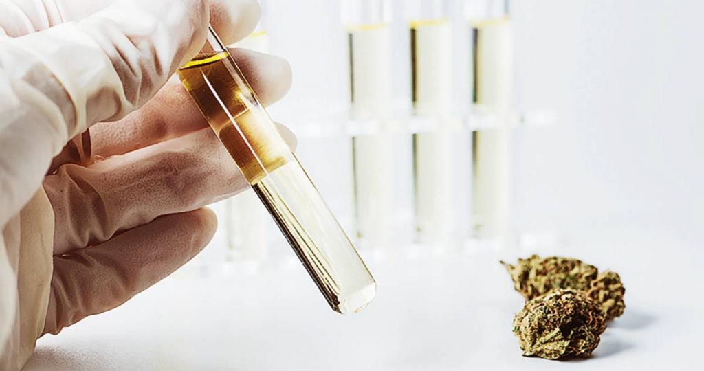 Cannabis may help chemo patients