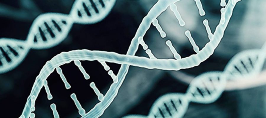 DNA strand