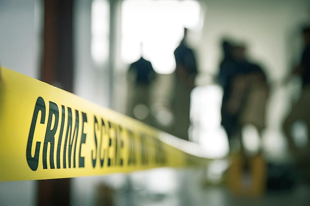 Revealing domestic homicide study