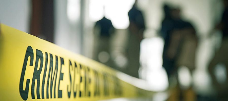 Revealing domestic homicide study