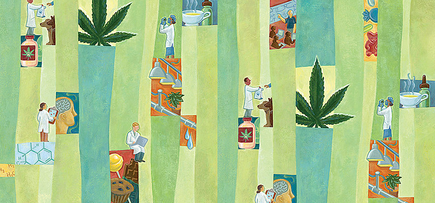 Cannabis Campus