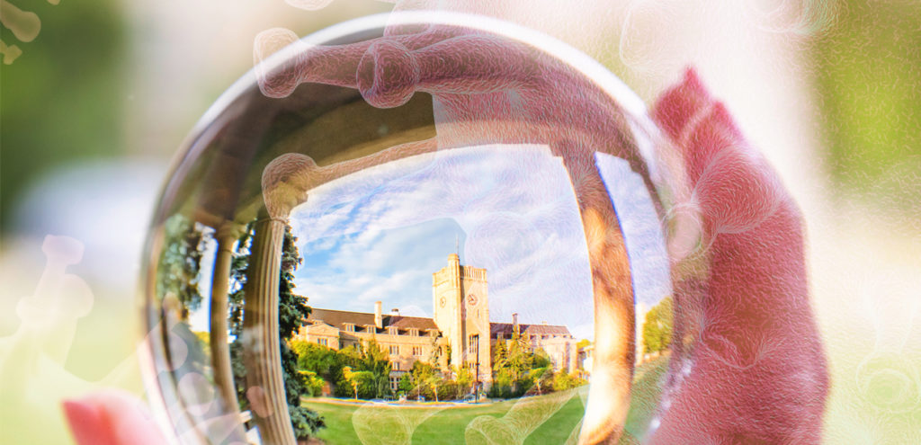 Covid Feature Story image