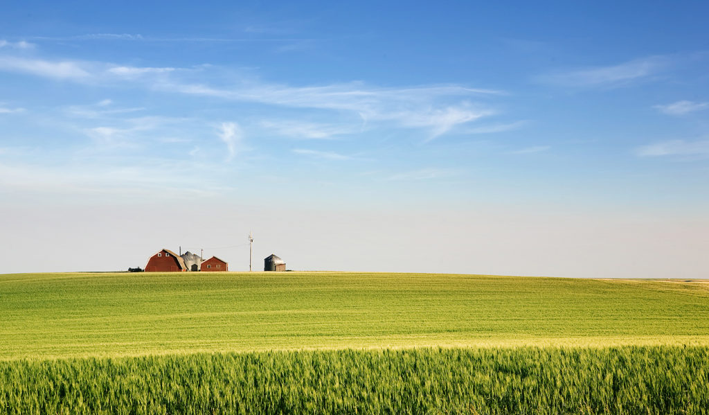 farmland