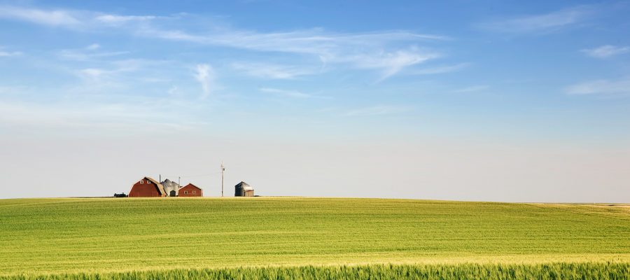 farmland