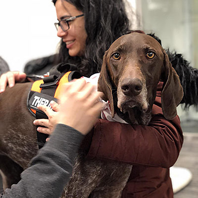 student with theraputic dog