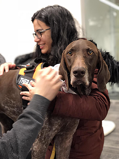 student with theraputic dog