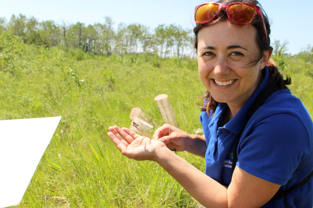 Young woman in field conducting research