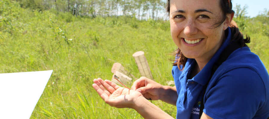 Young woman in field conducting research