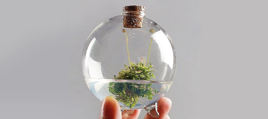glass orb