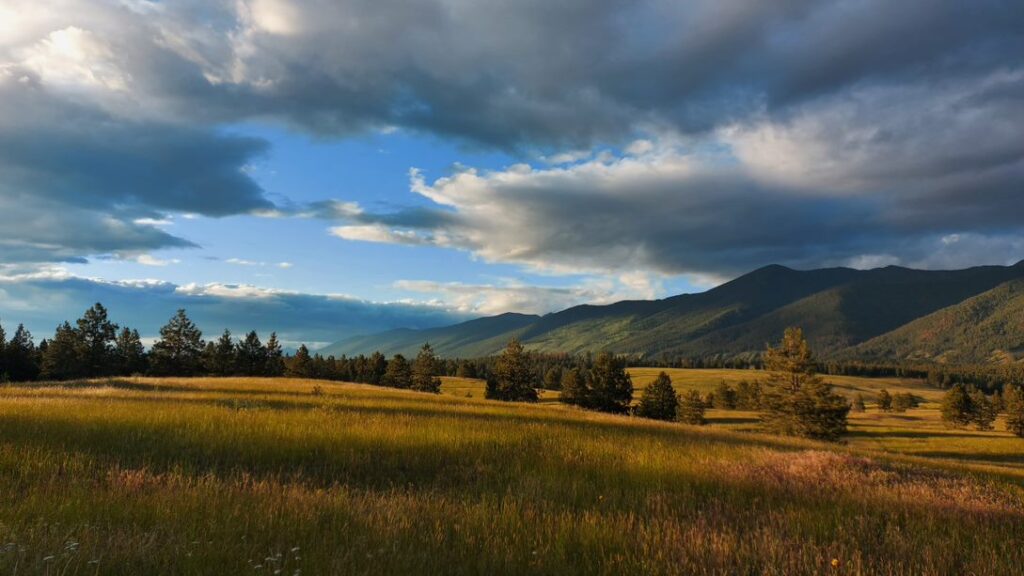 open plain under half-clouded sky