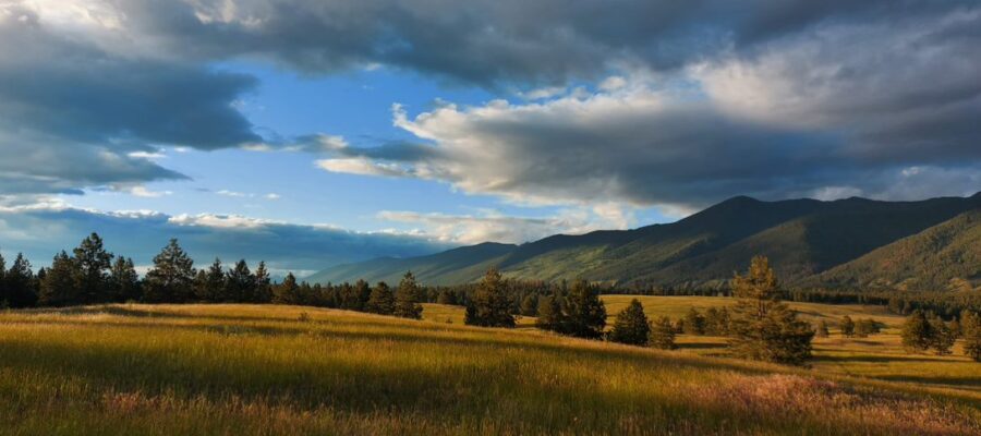 open plain under half-clouded sky