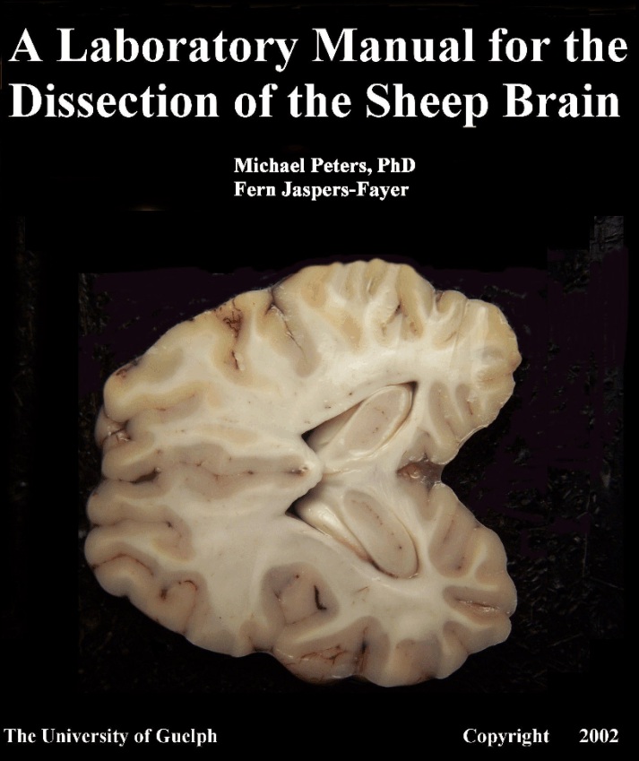 A Laboratory Manual for the Dissection of the Sheep Brain