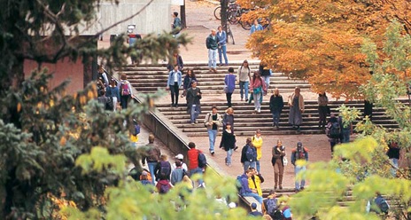 Students on winegard walk