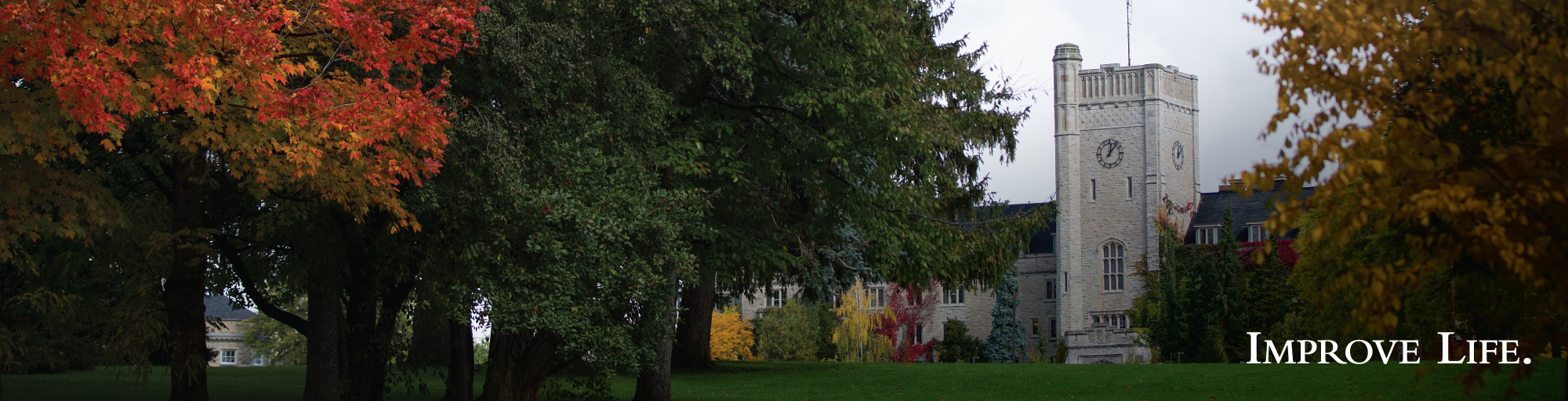 Image of students walking along a treed path