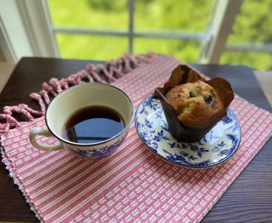A muffin on a blue floral china plate beside a matching teacup. The cup and the plate are on a red and white tablecloth, window with greenery in the background. 