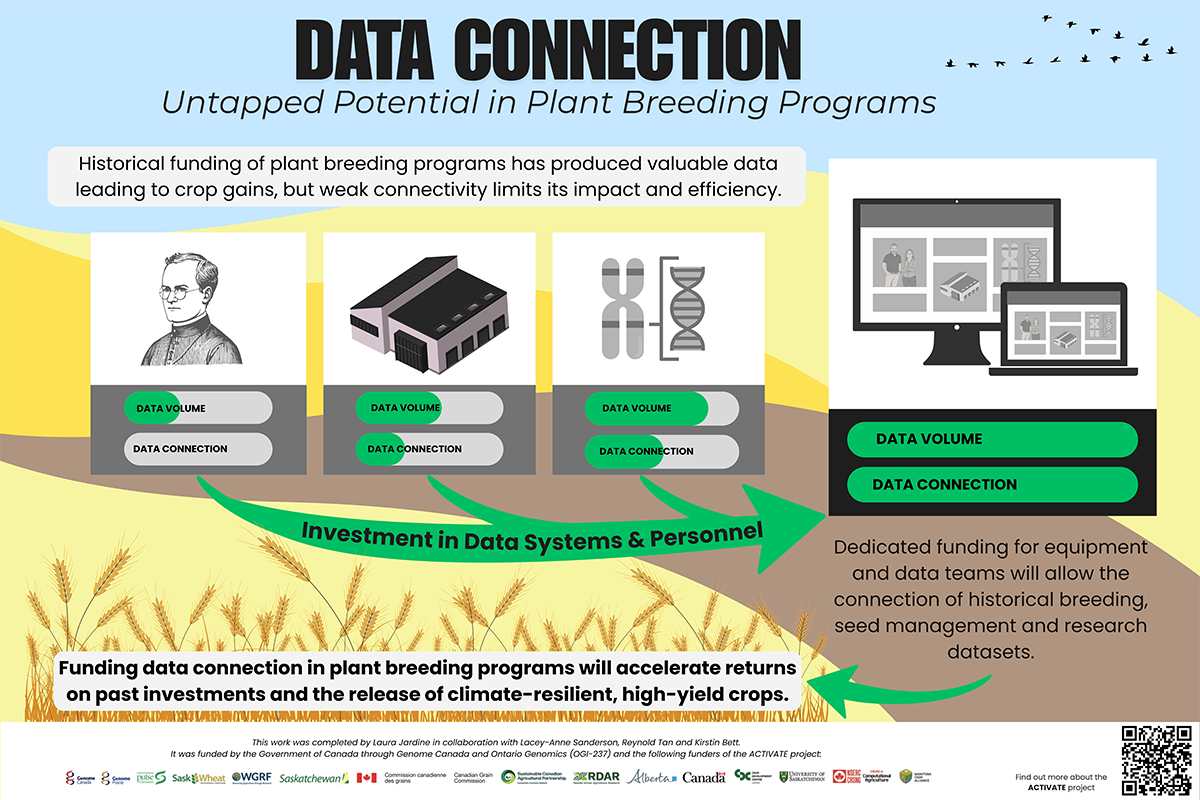 Infographic titled “Data Connection: Untapped Potential in Plant Breeding Programs.” It explains that historical funding has generated valuable plant breeding data, but limited connectivity reduces impact and efficiency. Four illustrated panels show disconnected and connected data systems using icons of a person outline, a server, DNA symbols, and computer devices. Green arrows point to the phrase “Investment in Data Systems & Personnel.” A sidebar notes that dedicated funding for equipment and data teams will enable connection of breeding, seed management and research datasets. A banner at the bottom states that funding data connection will accelerate returns on past investments and support climate‑resilient, high‑yield crops.
