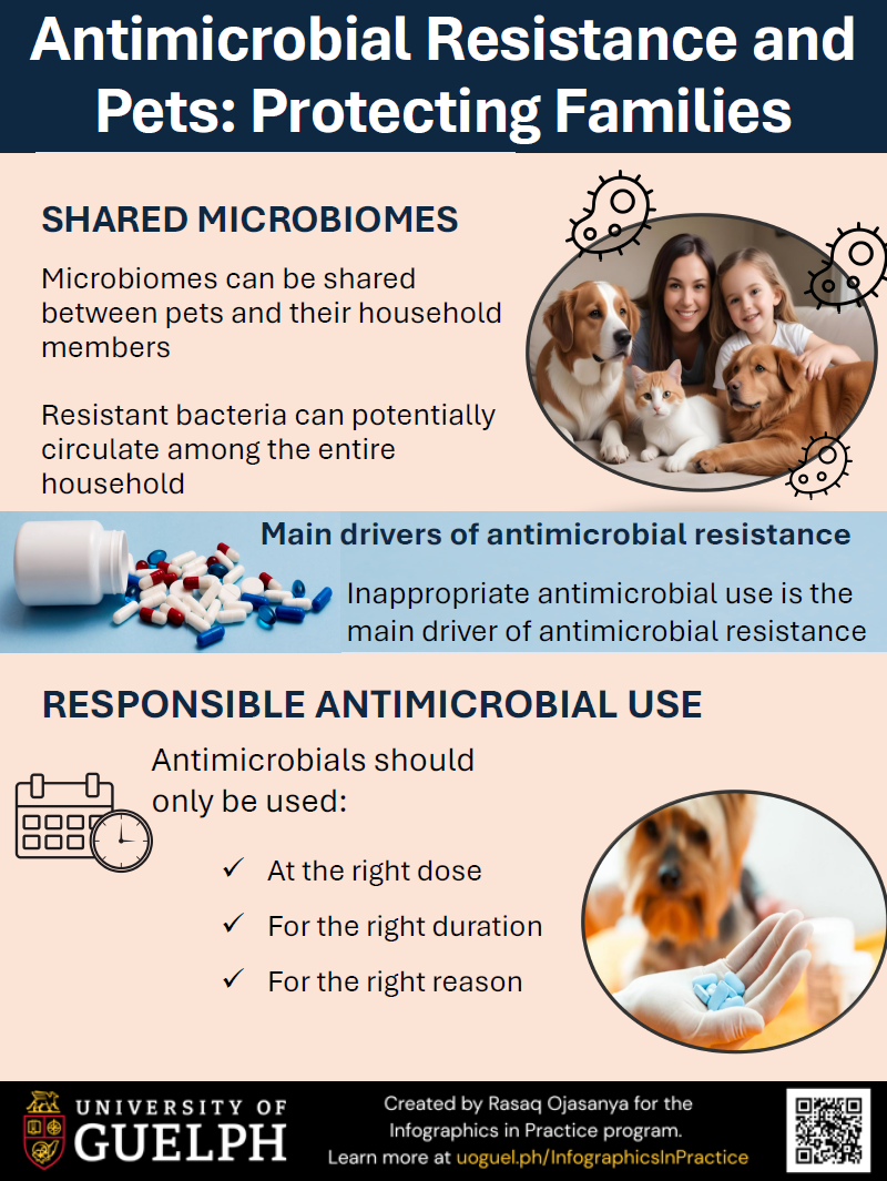  Infographic titled “Antimicrobial resistance and pets: protecting families”. Microbes can be shared between pets and their household members. Resistant bacteria can potentially circulate among the entire household. Inappropriate antimicrobial use is the main driver of antimicrobial resistance. Antimicrobials should only be used at the right dose, for the right duration, and for the right reason. 