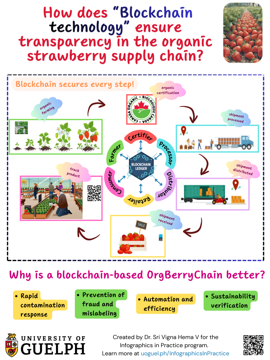 An infographic titled ”How does blockchain technology ensure transparency in the organic strawberry supply chain? Blockchain secures every step.” A diagram depicts blockchain ledger in the centre of a circle, with bidirectional arrows pointing outwards to each of the following stages of strawberry production: organic farming, organic certification, shipment processing, shipment distribution, retailer, and consumer tracking the product using a QR code. Why is a blockchain-based OrgBerryChain better? Rapid decontamination response, prevention of fraud and mislabeling, automation and efficiency, and sustainability verification. 