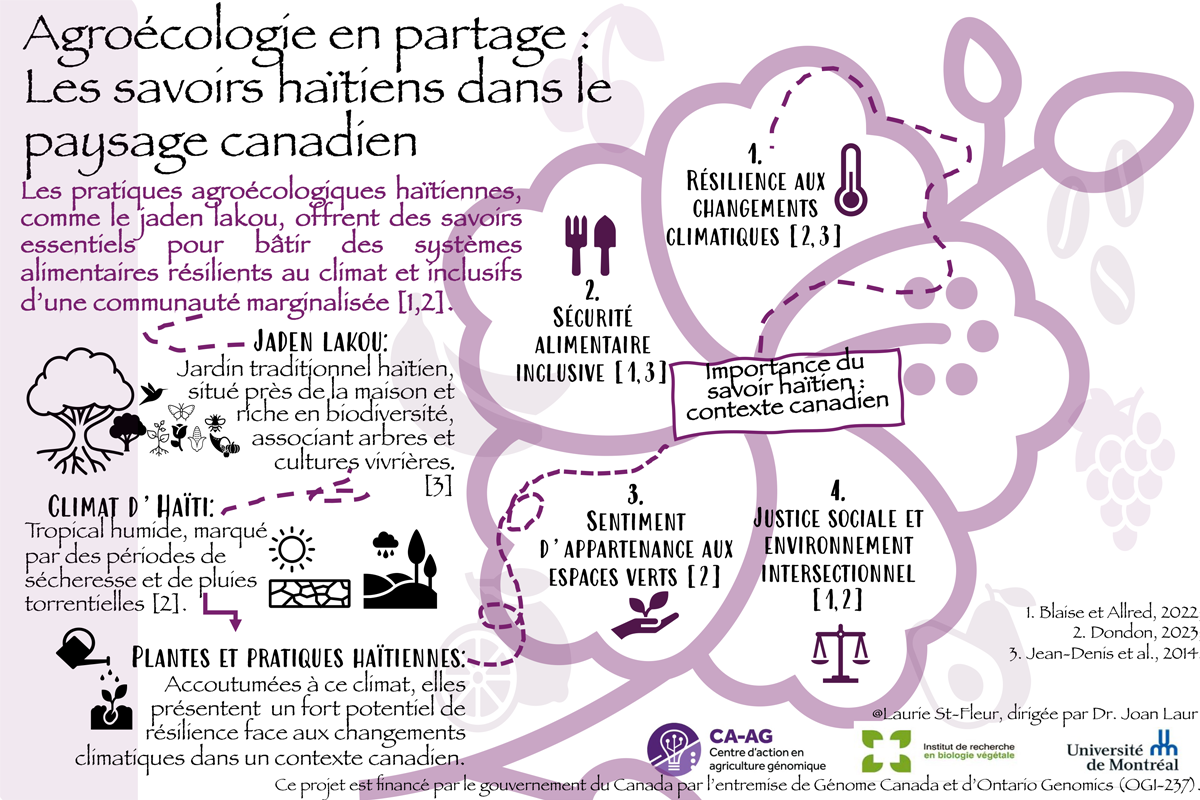 L’agriculture canadienne subit de plus en plus les effets des changements climatiques. La communauté haïtienne, arrivée majoritairement lors des vagues d’immigration des années 1960 sous le régime Duvalier, contribue activement à l’économie du pays, tout en demeurant souvent marginalisée. 
Les pratiques agroécologiques haïtiennes, comme le jaden lakou, recèlent des savoirs précieux pour bâtir des systèmes alimentaires plus résilients. En favorisant la biodiversité et en s’appuyant sur des plantes adaptées à des conditions climatiques exigeantes, ces approches offrent des pistes concrètes d’adaptation pour le contexte canadien.
Valoriser ces savoirs, c’est non seulement reconnaître la richesse d’une communauté, mais aussi renforcer la souveraineté et la résilience alimentaires face aux défis climatiques.  