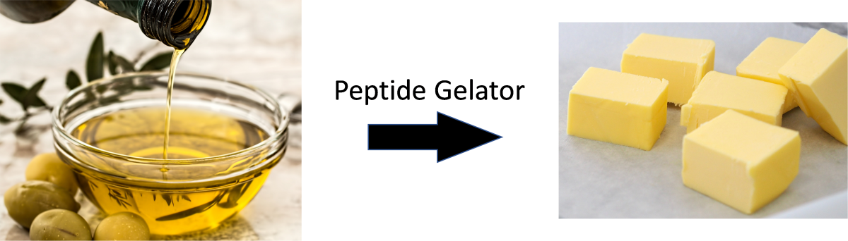 Bottle of oil being poured into a bowl. In the centre is "Peptide Gelator" with an arrow pointing to the right. On the right is sticks of hardened oil that mimics butter.