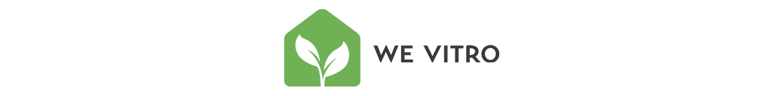 We Vitro logo