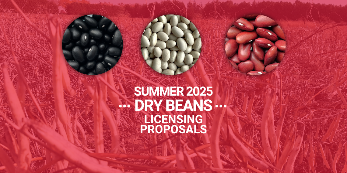 Header image of a drybean field with three close up images of different varieties. Underneath is the text "Summer 2025 DRY BEANS Licensing Proposals"